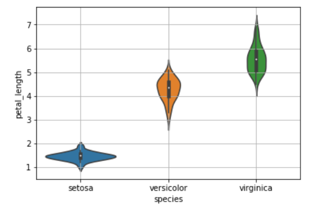 Iris Violin plot